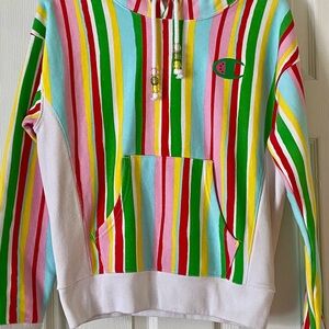Champion Multicolor Striped Hoodie